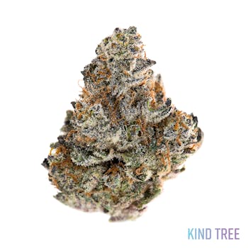 Grease Monkey